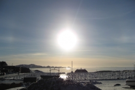 2007-02-21_malina_001