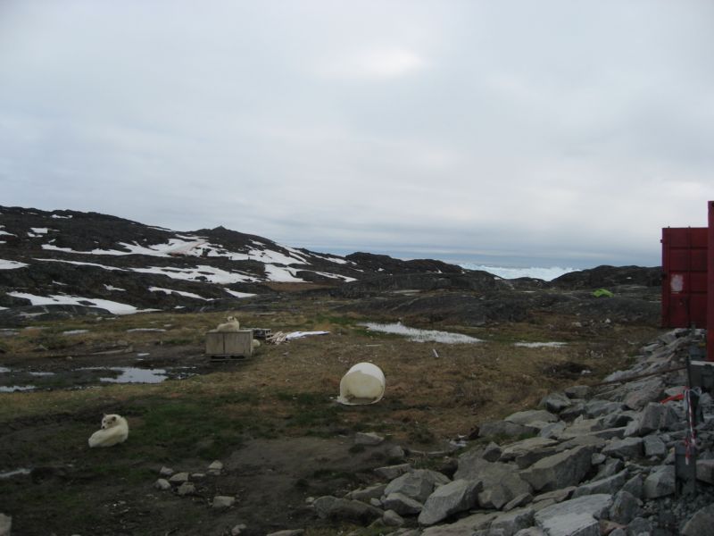 2007-06-09_ilulissat_015