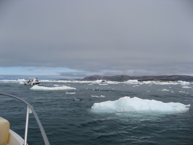2007-06-14_ilulissat_muslinger_ammassat_001