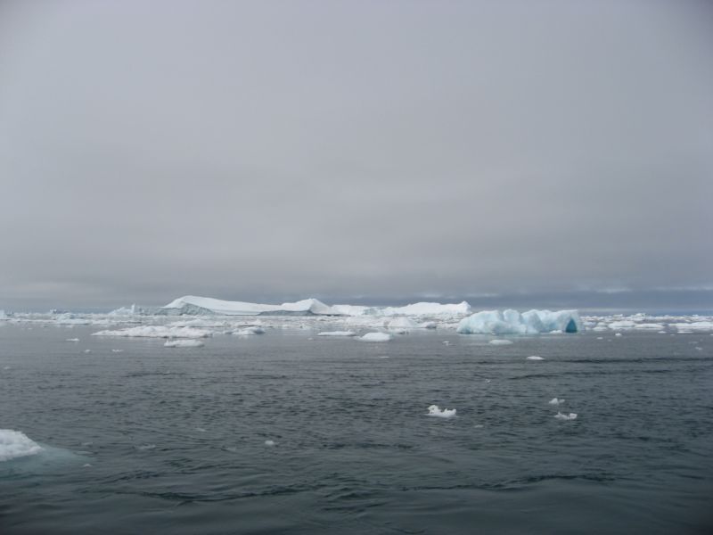 2007-06-14_ilulissat_muslinger_ammassat_002