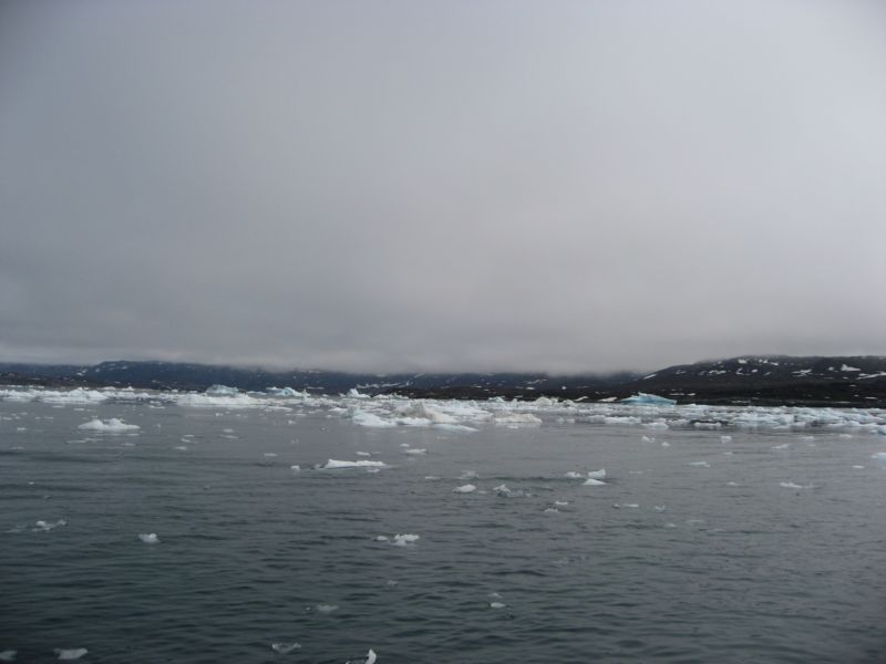 2007-06-14_ilulissat_muslinger_ammassat_003
