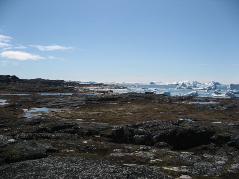 2007-06-14_ilulissat_muslinger_ammassat_011
