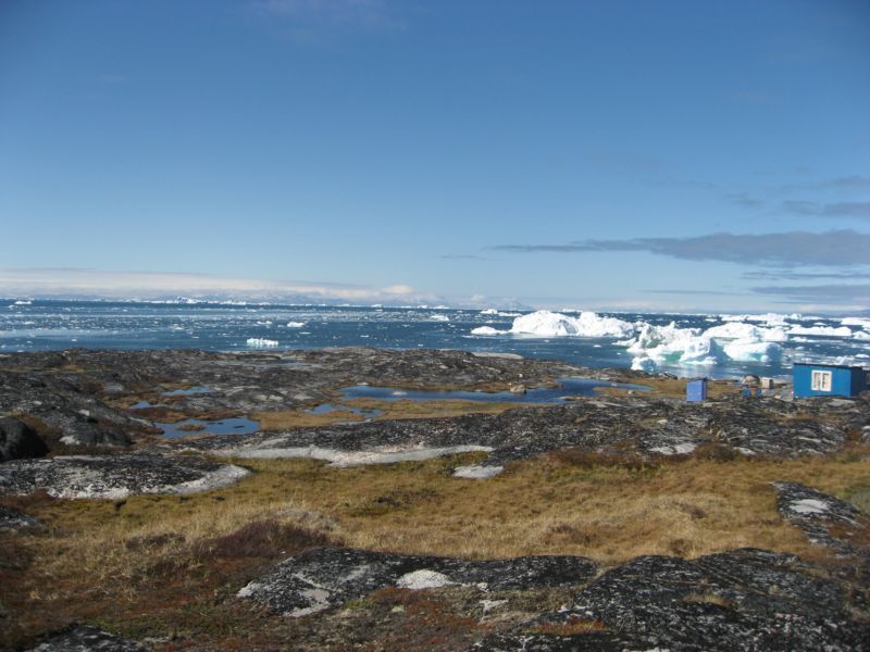 2007-06-14_ilulissat_muslinger_ammassat_012