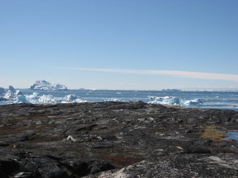 2007-06-14_ilulissat_muslinger_ammassat_013