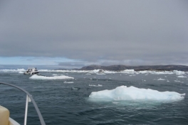 2007-06-14_ilulissat_muslinger_ammassat_001