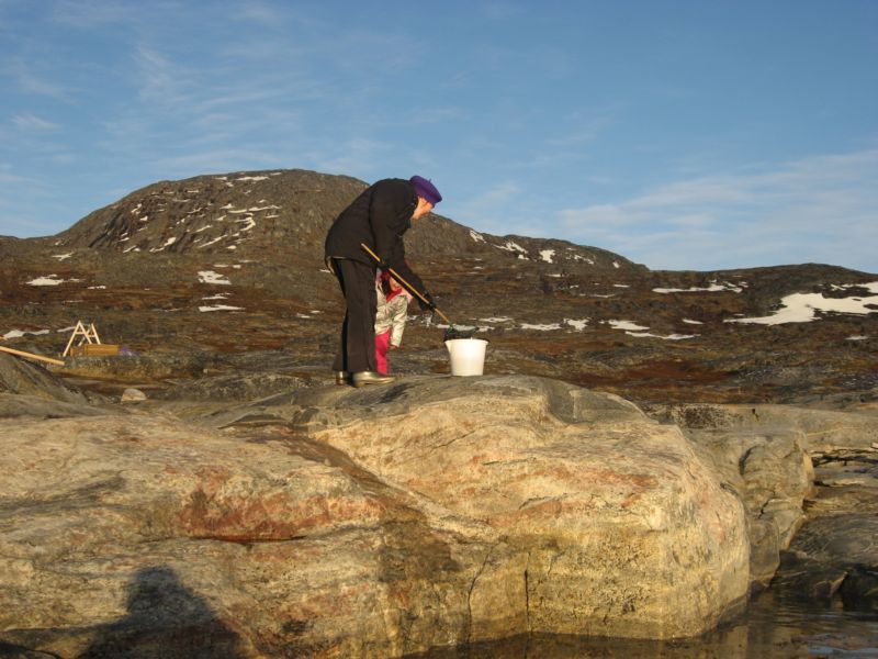 2007-06-14_ilulissat_muslinger_ammassat_044