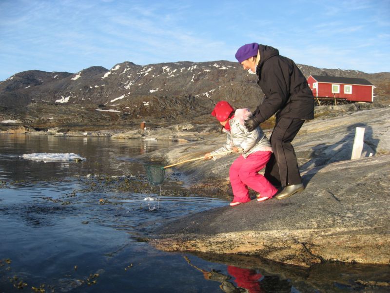 2007-06-14_ilulissat_muslinger_ammassat_052