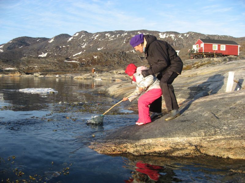 2007-06-14_ilulissat_muslinger_ammassat_053