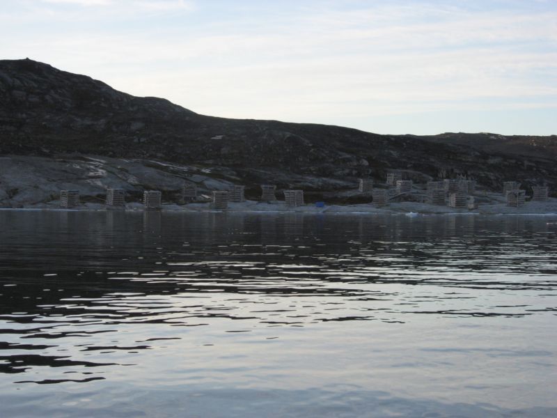 2007-06-14_ilulissat_muslinger_ammassat_055