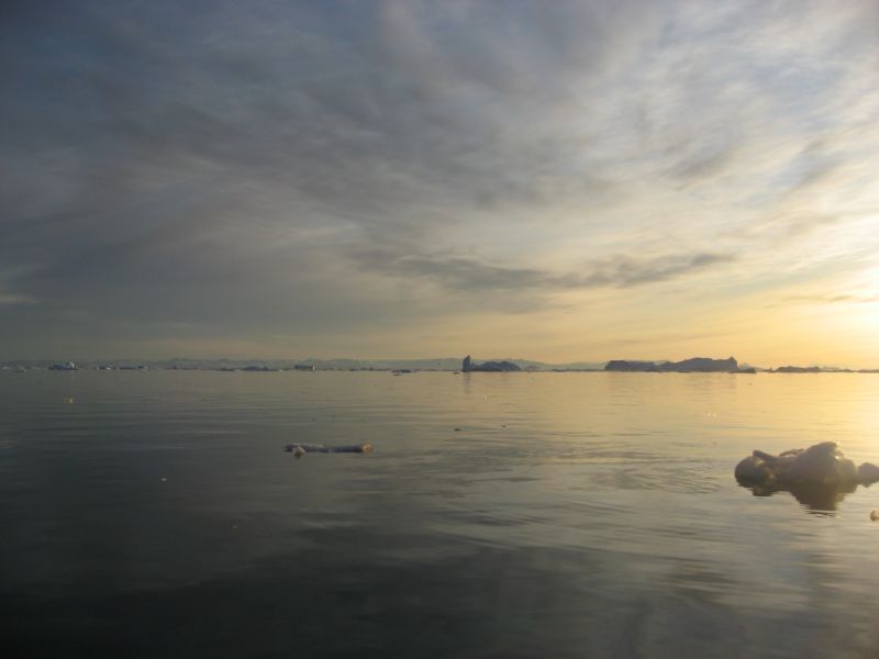2007-06-14_ilulissat_muslinger_ammassat_057