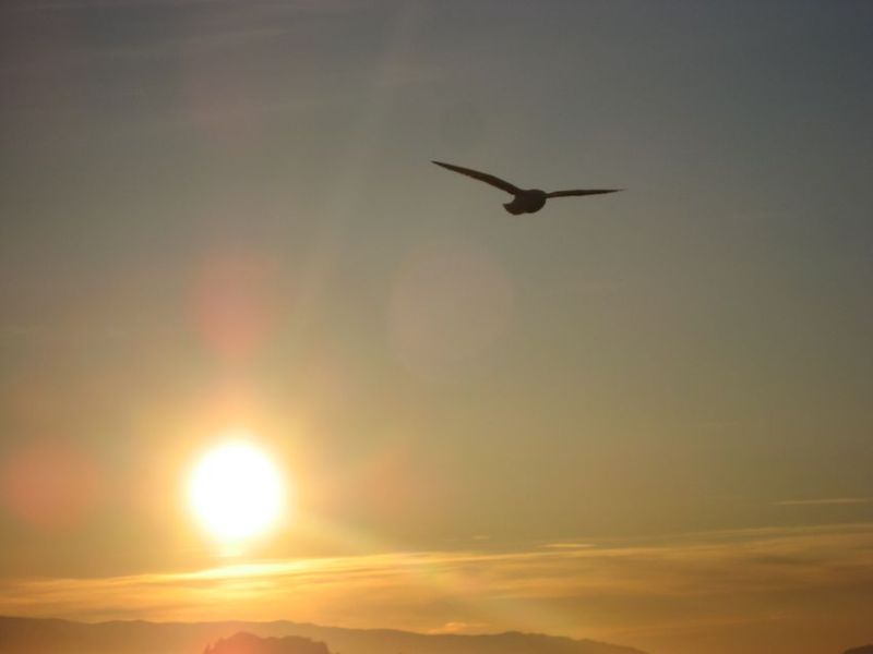 2007-06-16_sol_is_038