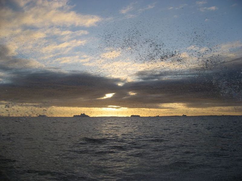 2007-06-21_ilulissat-aasiaat_075