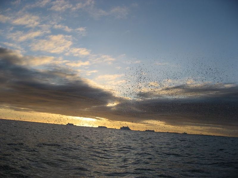 2007-06-21_ilulissat-aasiaat_084