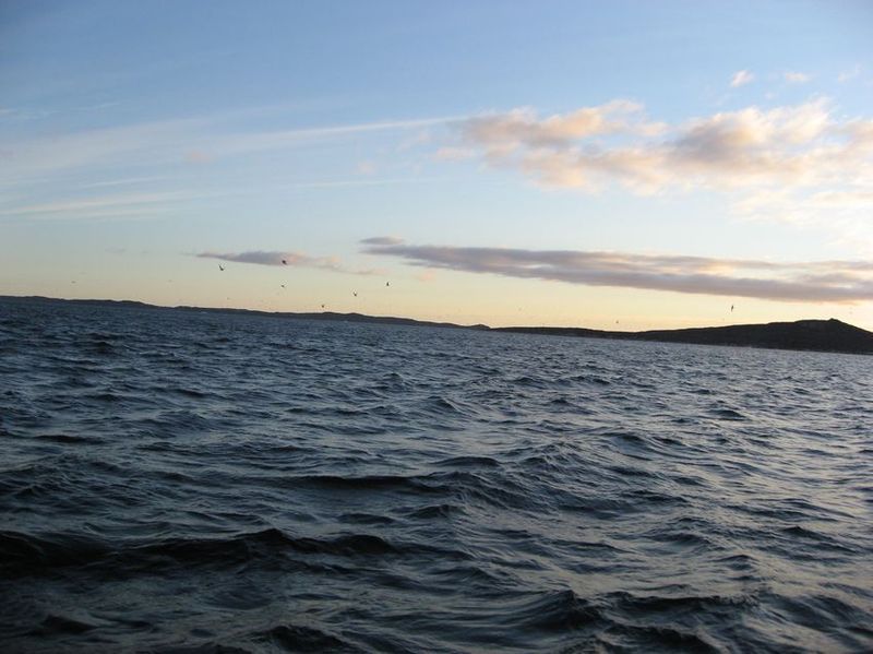 2007-06-21_ilulissat-aasiaat_121