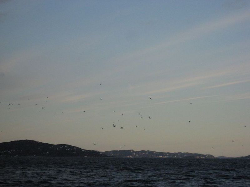 2007-06-21_ilulissat-aasiaat_125
