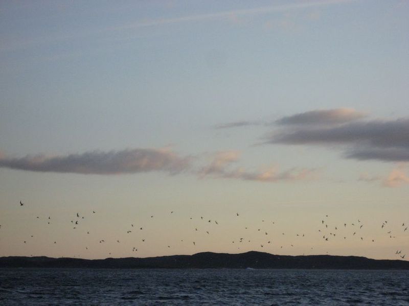 2007-06-21_ilulissat-aasiaat_126