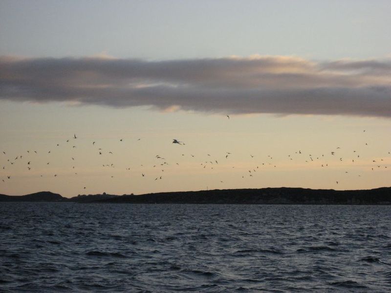 2007-06-21_ilulissat-aasiaat_127