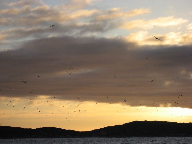 2007-06-21_ilulissat-aasiaat_131
