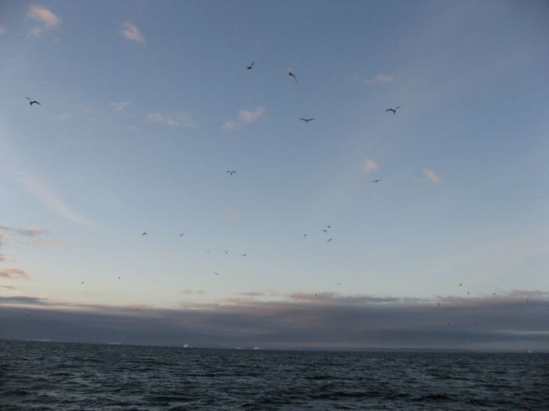2007-06-21_ilulissat-aasiaat_134