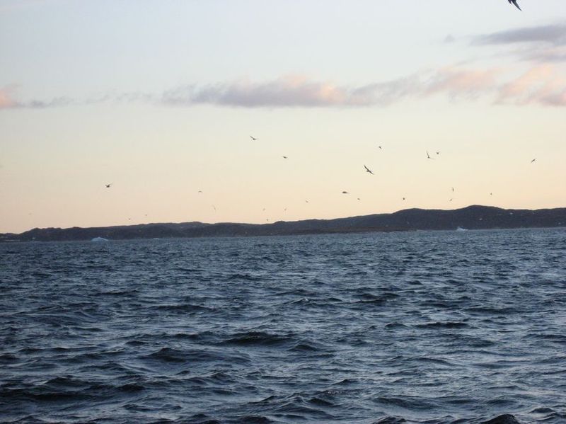 2007-06-21_ilulissat-aasiaat_137