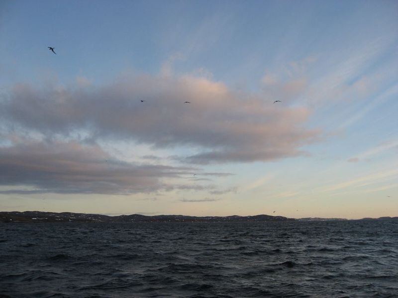 2007-06-21_ilulissat-aasiaat_139