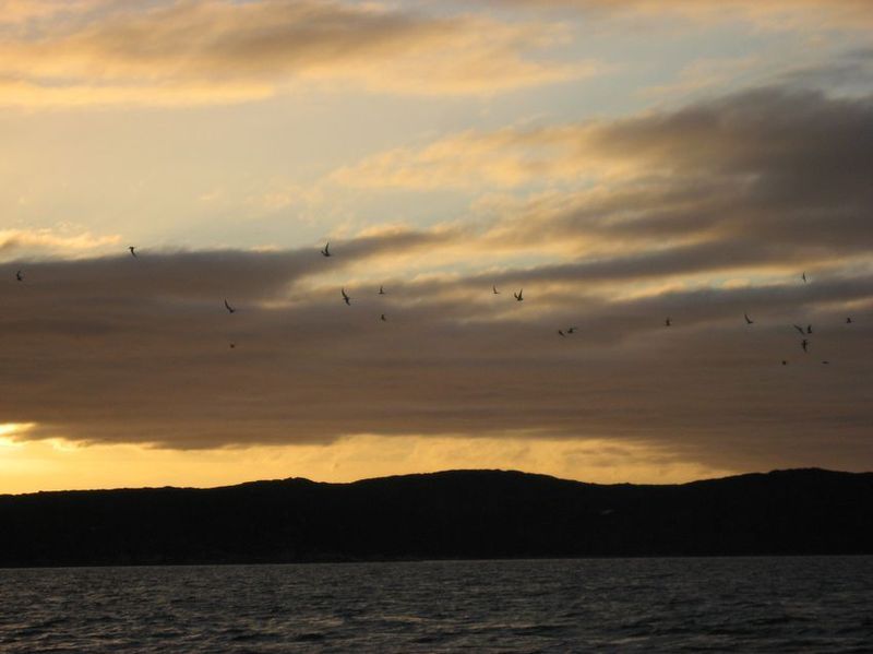 2007-06-21_ilulissat-aasiaat_152
