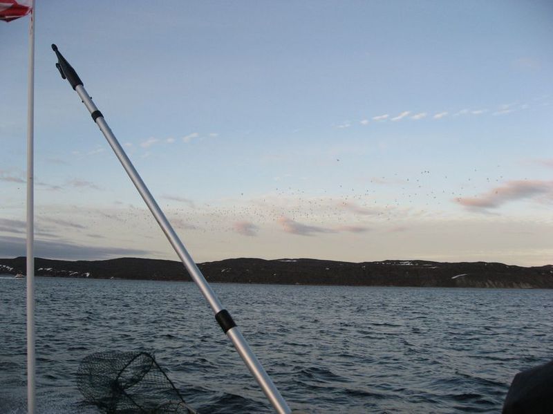 2007-06-21_ilulissat-aasiaat_155