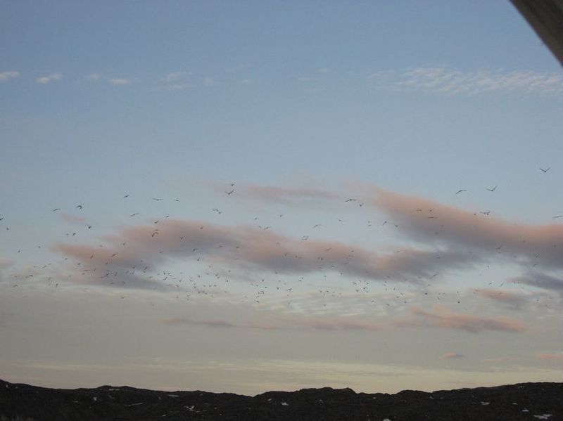 2007-06-21_ilulissat-aasiaat_157