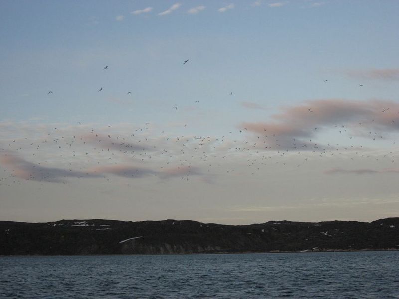 2007-06-21_ilulissat-aasiaat_158