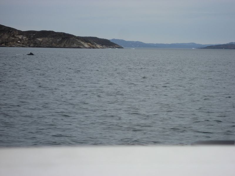 2007-06-22-23_aasiaat-maniitsoq_031
