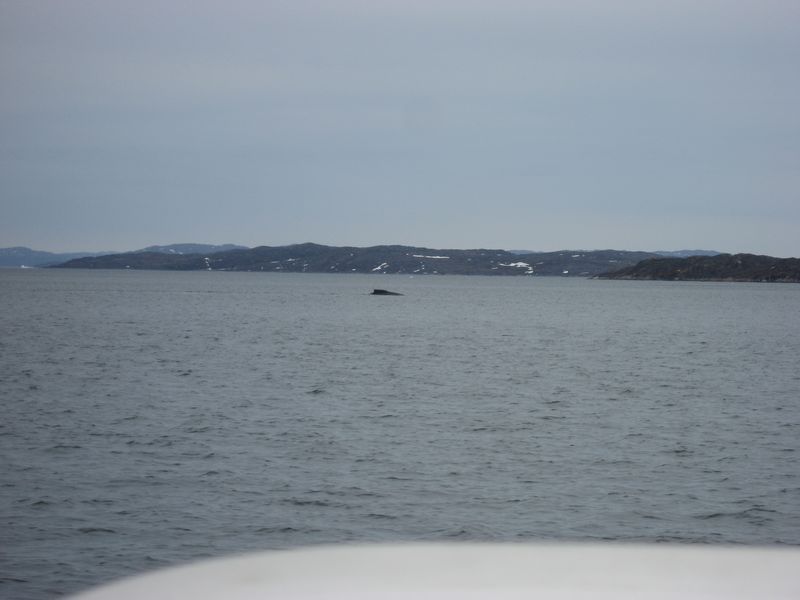 2007-06-22-23_aasiaat-maniitsoq_033