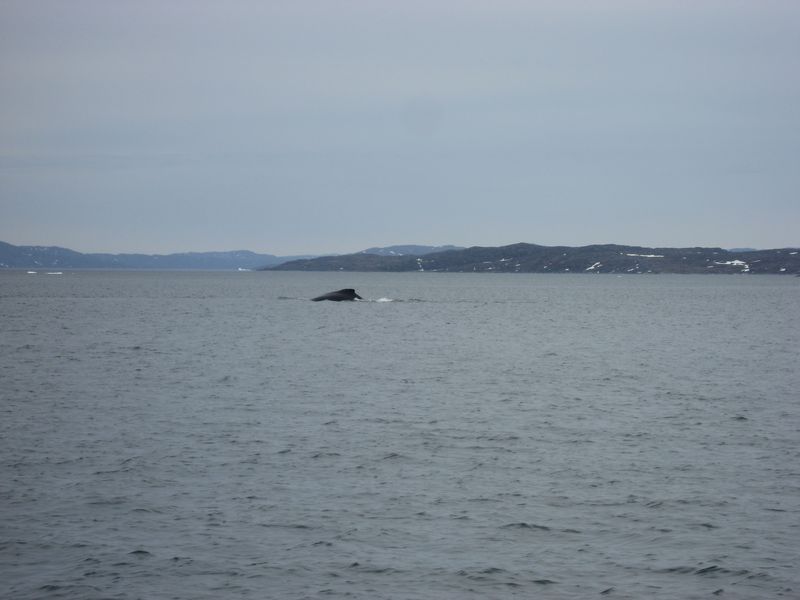 2007-06-22-23_aasiaat-maniitsoq_035