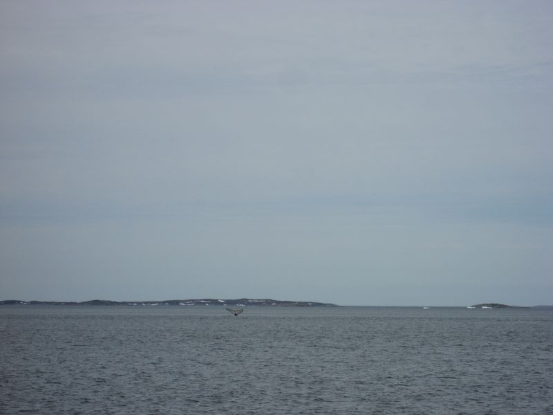 2007-06-22-23_aasiaat-maniitsoq_041