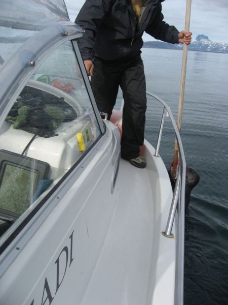 2007-06-23_maniitsoq-nuuk_026
