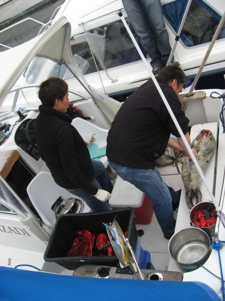 2007-06-24_saelflaensning_002