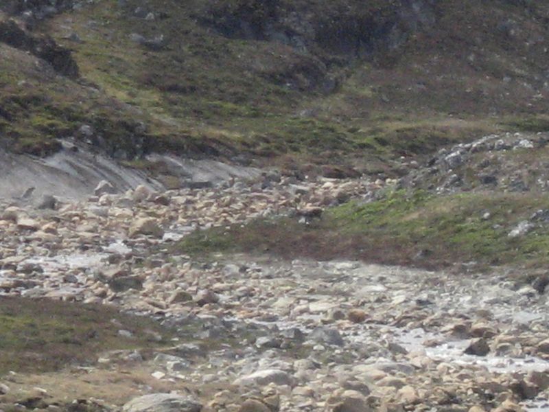 2007-06-29-_kanasut_terrassebygning_049