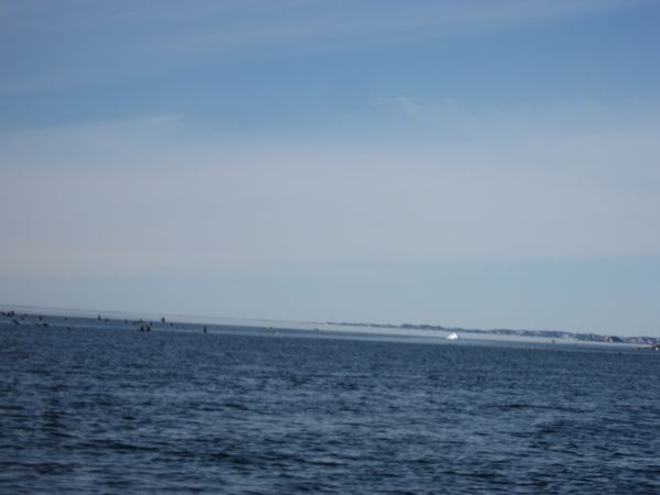 2007-06-05_nuuk-aasiaat_067