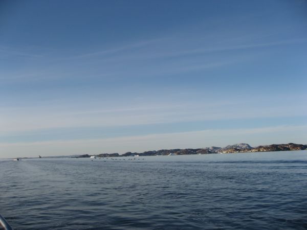 2007-06-05_nuuk-aasiaat_083