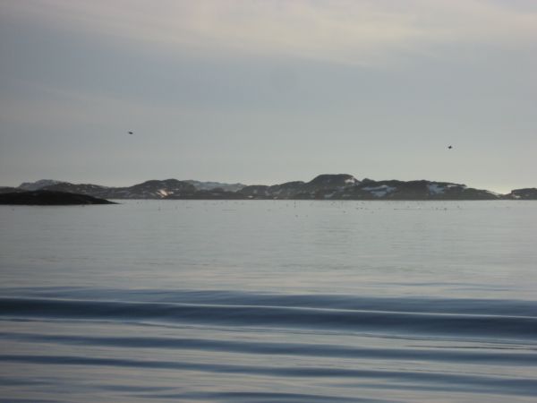 2007-06-05_nuuk-aasiaat_095