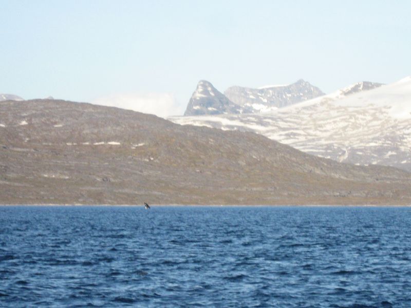 2007-07-04_saeljagt_011