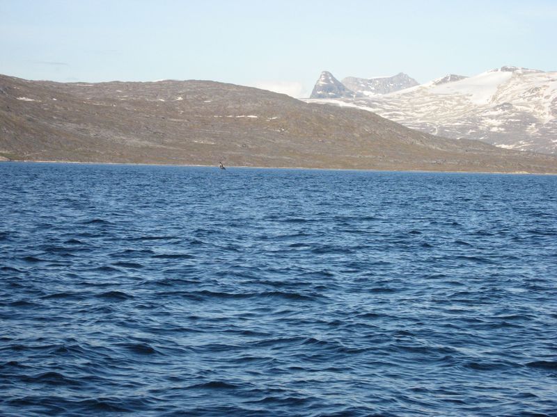 2007-07-04_saeljagt_013