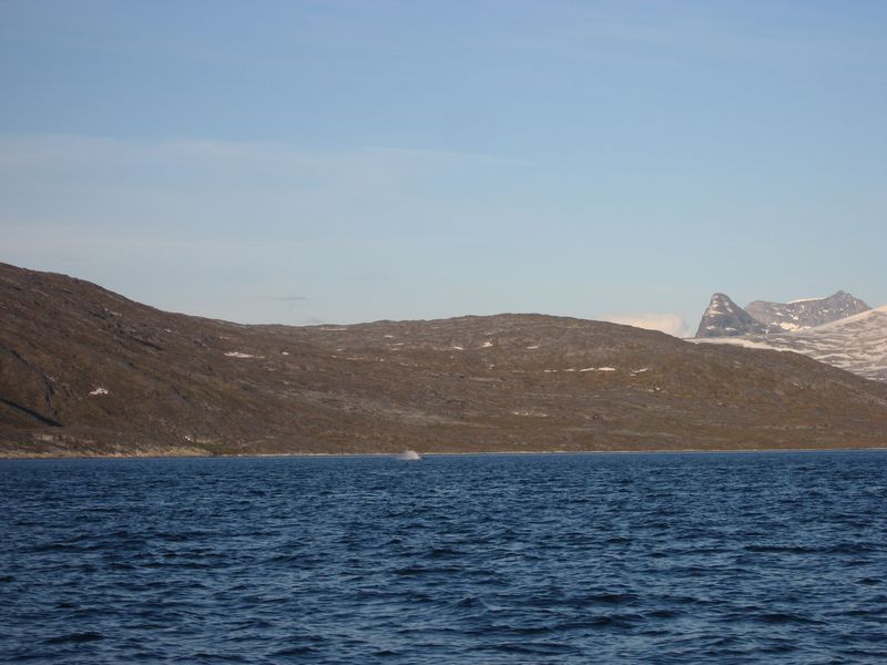 2007-07-04_saeljagt_015