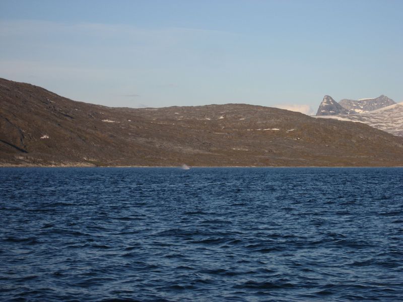 2007-07-04_saeljagt_016