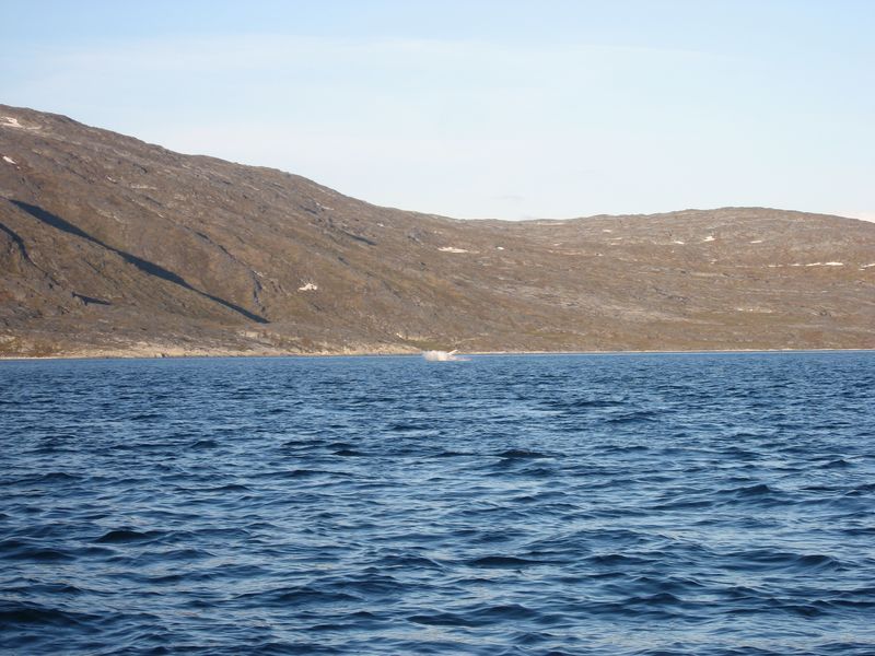 2007-07-04_saeljagt_017