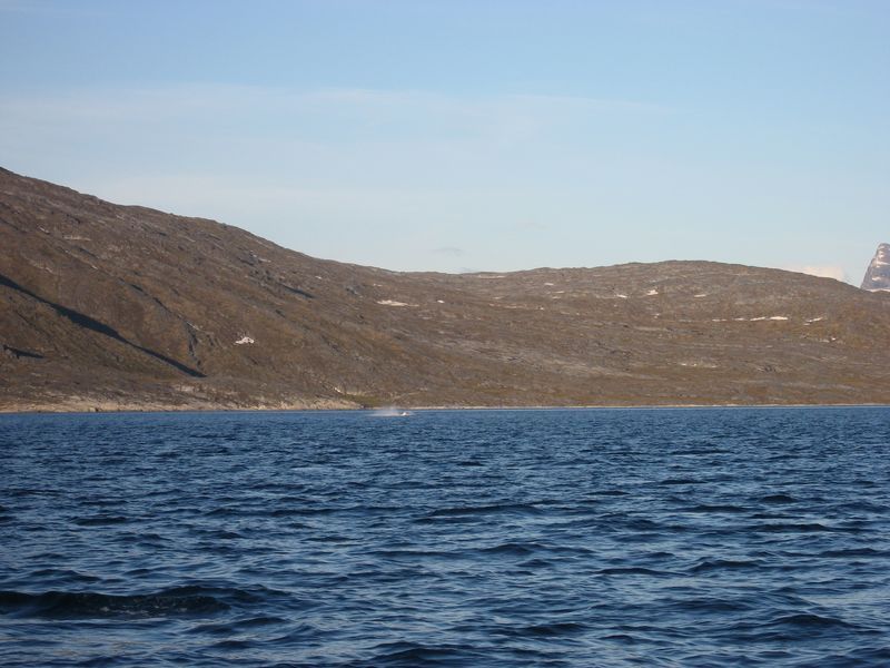 2007-07-04_saeljagt_018