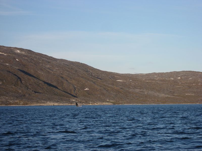 2007-07-04_saeljagt_019