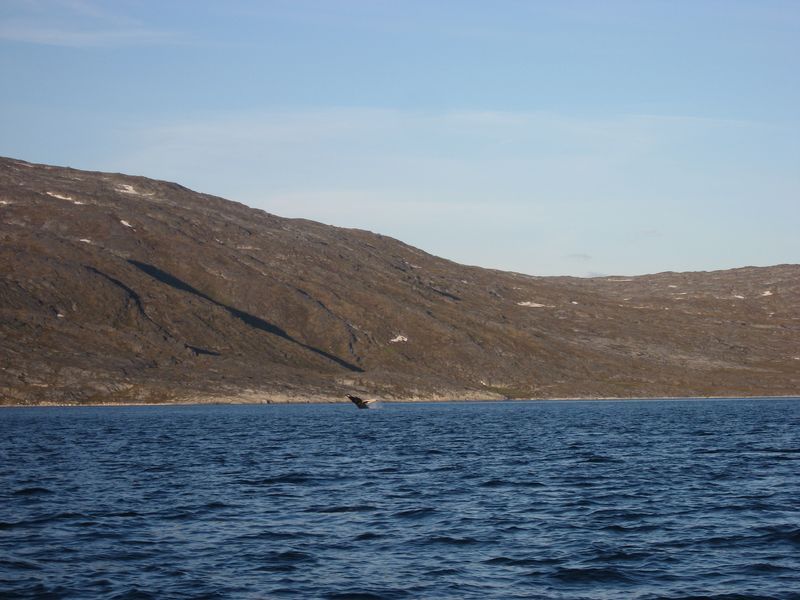 2007-07-04_saeljagt_020