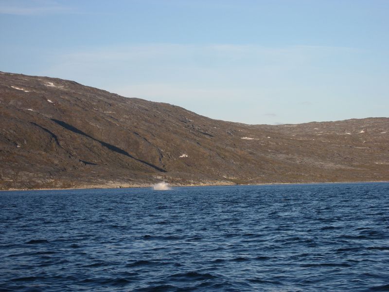 2007-07-04_saeljagt_022