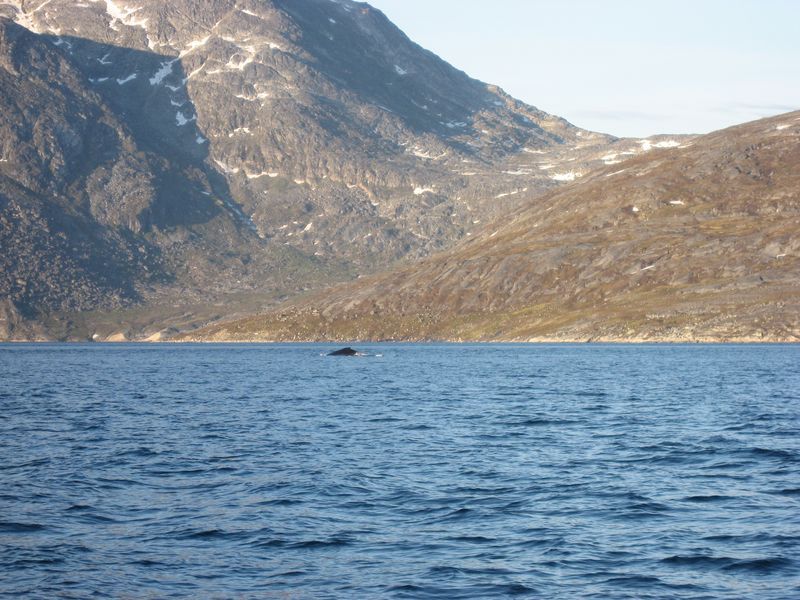 2007-07-04_saeljagt_051