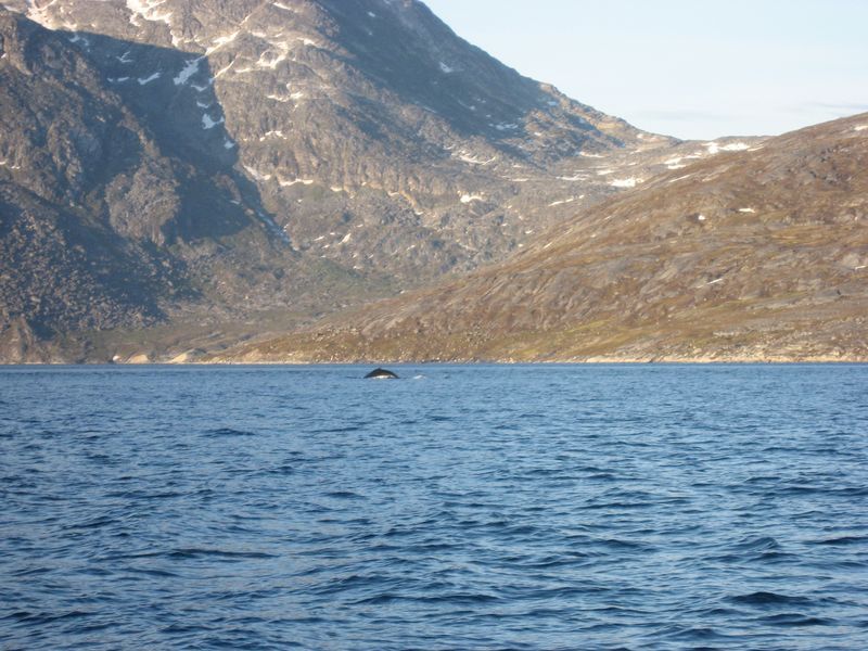 2007-07-04_saeljagt_052